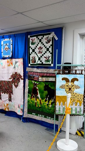 7.4K views · 164 reactions | Visited Cumberland County Fair Exhibits yesterday. My quilt did not place but enjoyed looking at all the beautiful work. #DogwoodExchange #quilts #countyfair2025 | Dogwood Exchange LLC | Facebook