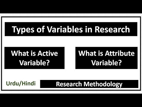 What are Active Variables and Attribute Variables in Research?