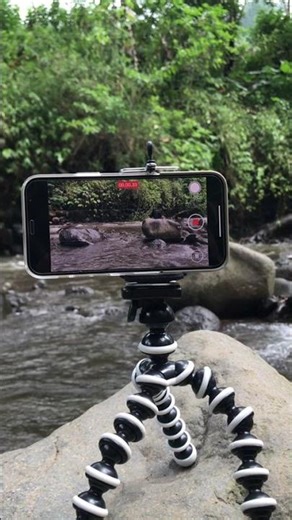 Relaxing ASMR Flowing River in the Morning 🌊 | Natural Water Sounds