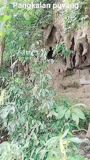 Karnoles Noles on Reels