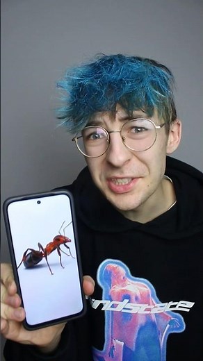 Czy Mrówka Wejdzie Na Mount Everest?