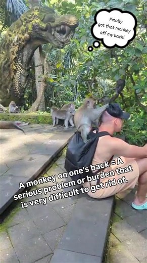 A monkey on one's back | English Idiom Explained #learnenglishidioms #speakenglish #idioms