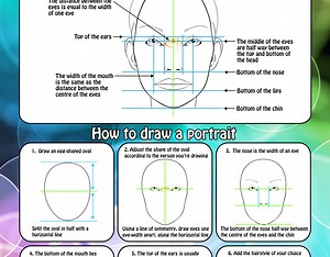 Kingsley Art - Facial Proportions