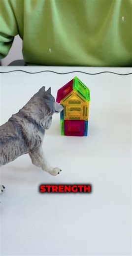 The Big Bad Wolf vs 3 Houses (Paper vs Magnet vs Brick!) 🐺🏠
