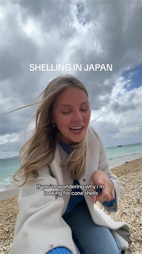 Cone shell jackpot!!! 🐚 #beachcombing #shelling #coneshell #japan #oceanlife