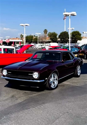 #tiktokscenescontest @Ca.90210