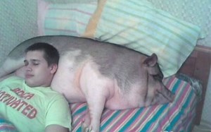 2015年8月搞笑gif精彩合集第二周！