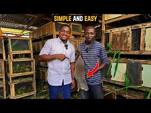 How To Start a Colony of Grasscutter Farm as a Beginner in Ghana with GHS1500($120.29) - DETAILED!