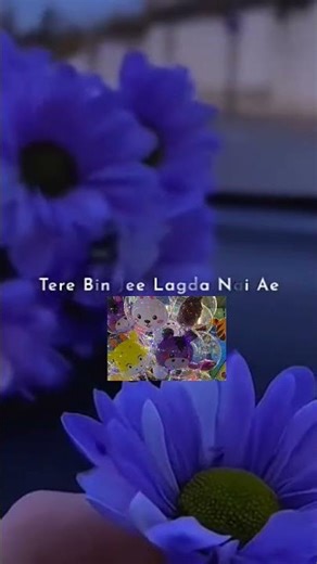 Tere to Main vari Jaavan #song# #lyrics #love#