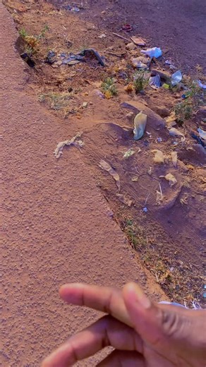 Vidéos de Cyril 🍀Mignon❤️ (@cyrilmignon) avec son original - mde.trend🌟