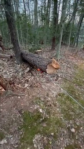 Axis 500 UTV winch test. 3500lb rated work limit. $8000 side by side from Lowe’s.