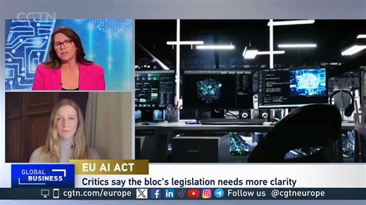 Is the EU Code of Practice Right for AI Regulation?