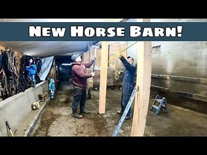 A New Barn for the Horses?!?!! A Family Renovation Project 🔨💪