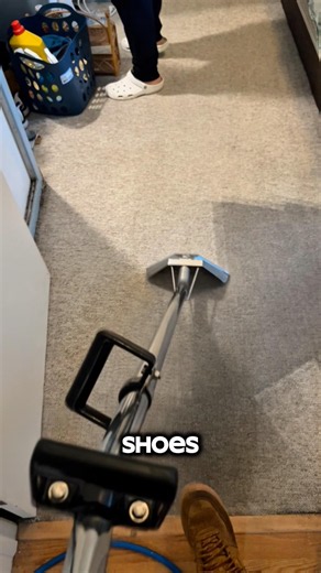Nasty Rental Carpet Cleaning