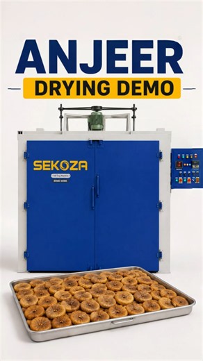 Anjeer Drying Demo with Sekoza Dryer Machine | Fig Dehydrator Machine