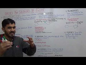 Classes and sub classes of enzymes in depth classifications of enzymes in English by Dr A Hadi