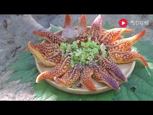 Starfish can eat like this