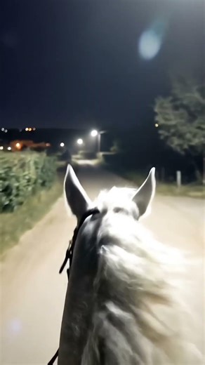 Night Horse Ride 🌙🐎 | Peaceful Islamic Vibes | Darbuna Darbun