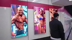 21K views · 29 shares | Musclemania® Australia September 16 - Gold Coast The Biggest Natural Show in Oz! MM Pro Qualifier for Las Vegas! Musclemania Australia - Musclemaniaaustralia.com | Musclemania | Facebook