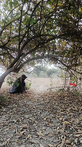 #hunting rabbit🐇 | Indian Survival Boy 07