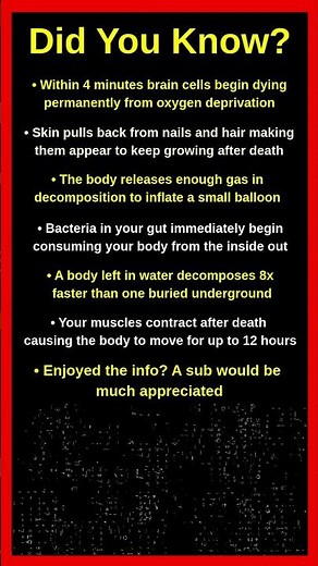 What Actually Happens To Your Body After You Die ☠️🔬