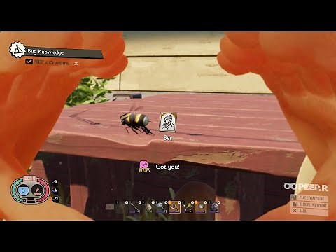 How To Peep a Creature in Grounded | How To Unlock a Creature Card 🐝🐞