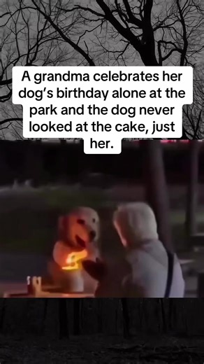 Dogs were the first animals to be domesticated, roughly 15,000 to 30,000 years ago. From Pack to Family: Dogs descended from wolves, which are highly social pack animals. For a wolf, the pack is survival. As they evolved into dogs, they transferred that intense pack loyalty to their human