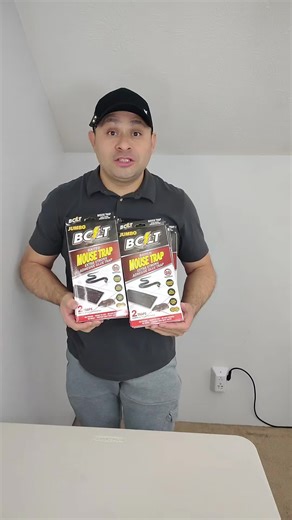 Sticky Mouse Traps: Strong Adhesive for Effective Pest Control