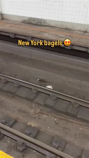 Pizza Rat we’ve found your brother 🫶 A rat was spotted on the subway tracks, clutching a breakfast of a NY bagel in his mouth. 🐀🍽️ Honestly, fair we do lovvvve our bagels 🥯 #mysecretnyc #meme 🎥: | Secret NYC