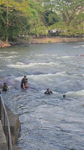 #ริมธารรีสอร์ท #นครนายก โซนแก่งสามชั้น วันที่ 4 มกราคม 69 #ที่พักสัตว์เลี้ยงพักฟรี #ที่พักนครนายก #ที่พักติดน้ำ #รีสอร์ทนครนายก | ริมธาร รีสอร์ท นครนายก
