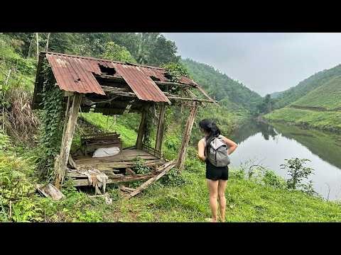 Beautiful Girl Builds a Shelter in an Abandoned House | Relaxing Natural Sounds & Free Life
