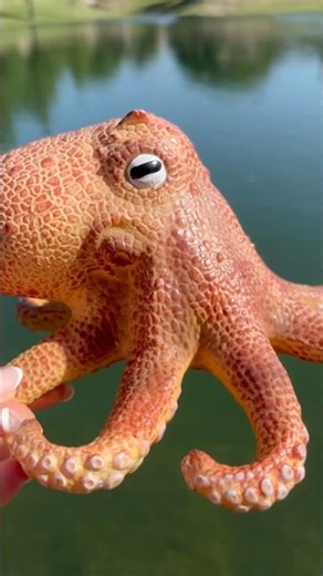 Discover Amazing OCTOPUS at The Pond! Learning video for Kids!