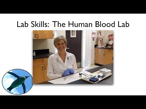 Lab Skills: Human Blood Lab