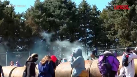 Wisconsin, attivisti tentato di entrare in un allevamento di beagle: la polizia usa spray al peperoncino