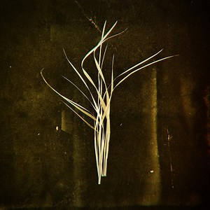 Lumisokea - Mnemosyne