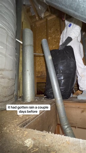 10K views · 89 reactions | Part 5 DIY Mold Remediation. The chimney is leaking BAD — so we are pivoting. Top priority always needs to be to fix the water leak first— then remediation can continue! No point to remediate if the source if the mold remains! #mold #DIY #remediation | Nik and Liv DIY | Facebook