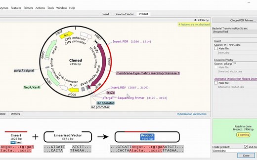 【搬运】【教程】 TA and GC Cloning