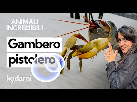 Who is the pistol shrimp: it has a giant claw that shoots water projectiles