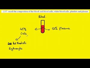 2.57 Composition of Blood