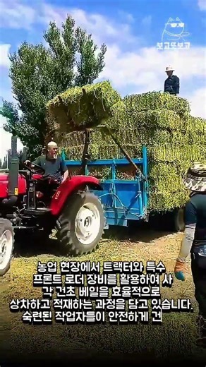 현대 농업의 효율적인 건초 적재 및 상차 과정