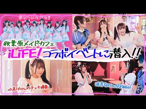 【潜入】マジカルロリポップ × iLiFE！ コラボカフェの様子を密着公開！