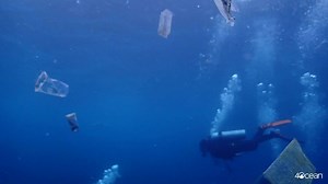 They're just trying to dive. 📸: wakeupand.dive (IG) | 4ocean