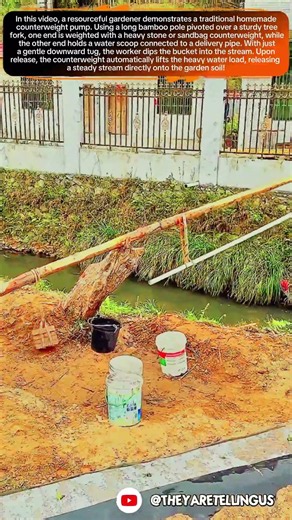 Ancient Engineering Hack: Eco-Friendly Bamboo Shaduf for Easy Garden Irrigation #smart #ideas #farm