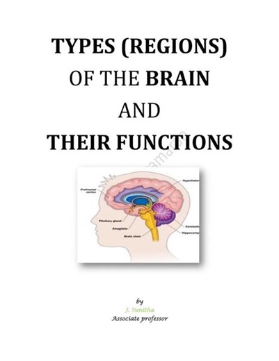 BRAIN TYPES AND THEIR FUNCTION