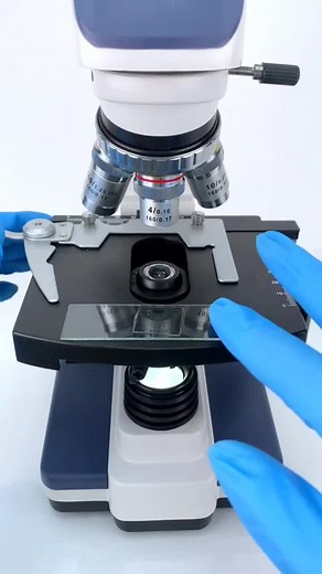 Exploring Real-Life Plankton Under the Microscope