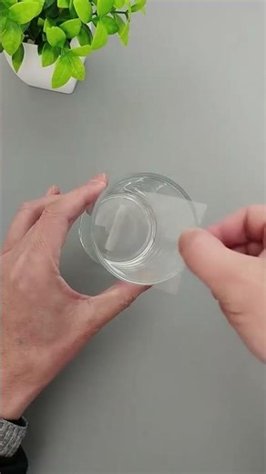 DIY a Captivating 3D Holographic Projector with a Glass Cup