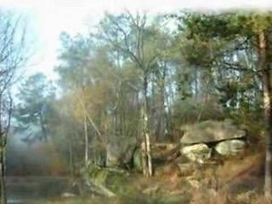 Tri Yann - Gloire à Neptune