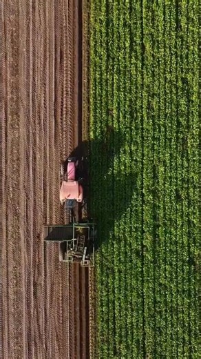 Modern Farming in Action: Incredible Aerial View 🚜🌱