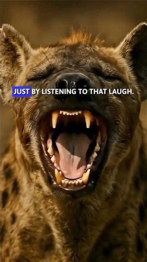 Why Hyenas Make This Weird Sound?