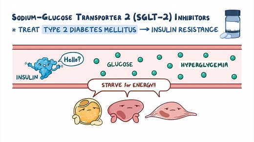Video: Oral antidiabetic medications - Sodium-glucose co-transporter-2 (SGLT-2) inhibitors: Nursing pharmacology - Video Explanation! | Osmosis | Osmosis